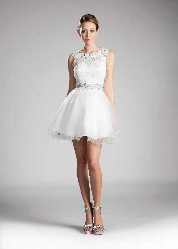 Price Drop Cinderella Divine LACD0117 Dress
