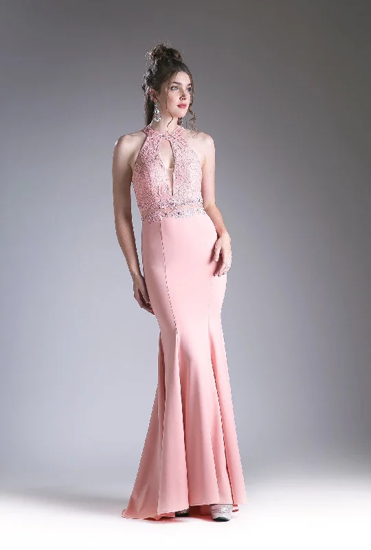Price Meltdown Cinderella Divine LACF102 Dress