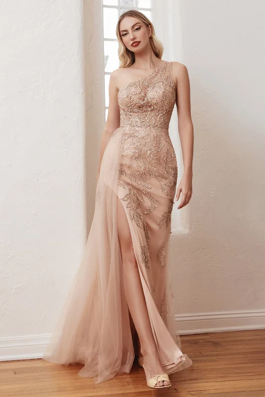 Loyalty Reward Cinderella Divine  CB098 Dress