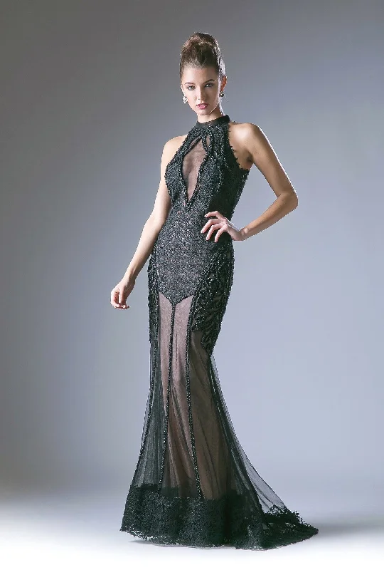 Weekend Deal Cinderella Divine LA496 Dress
