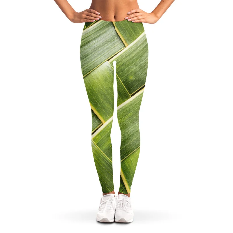 Hurry In Coconut Leaf Print Women's Leggings