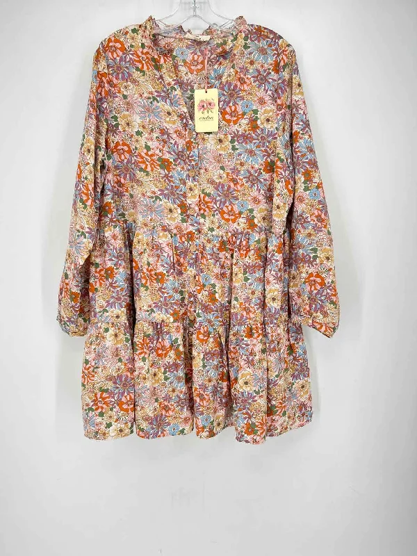 Deep Discounts Entro Size L Floral NWT Dress