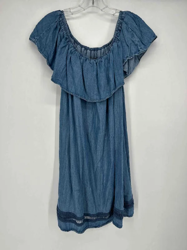 Today’s Deal Grace Elements Size L Chambray Dress