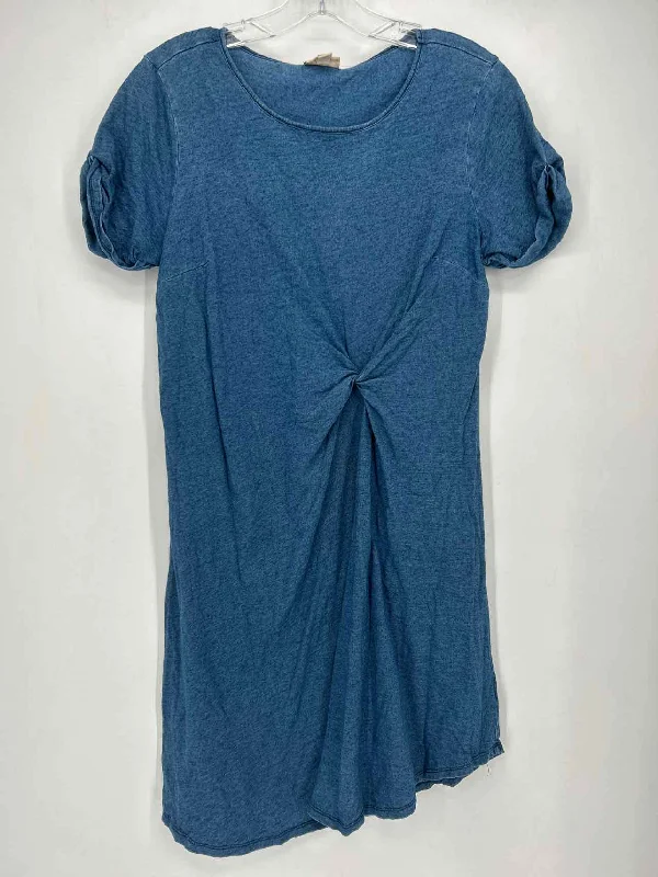 Deal Frenzy Holding Horses Size S Denim Blue Dress